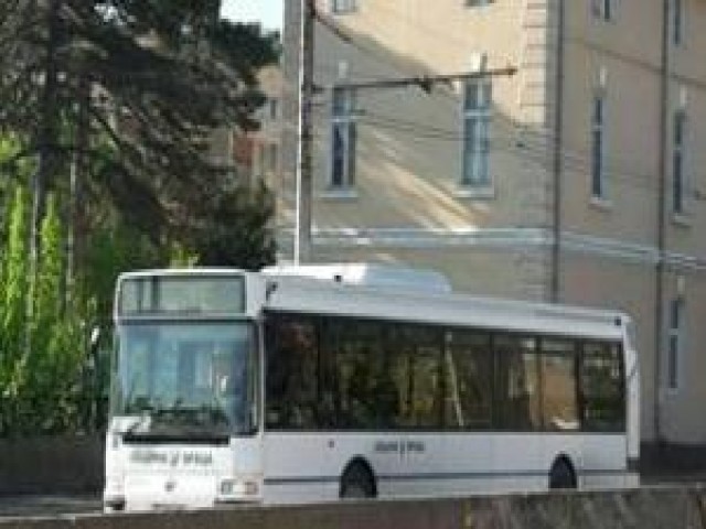 3634.jpg
