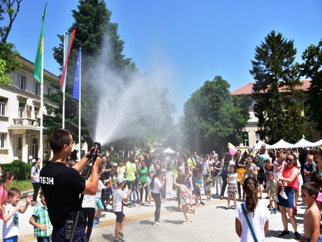 DSC_1103.JPG