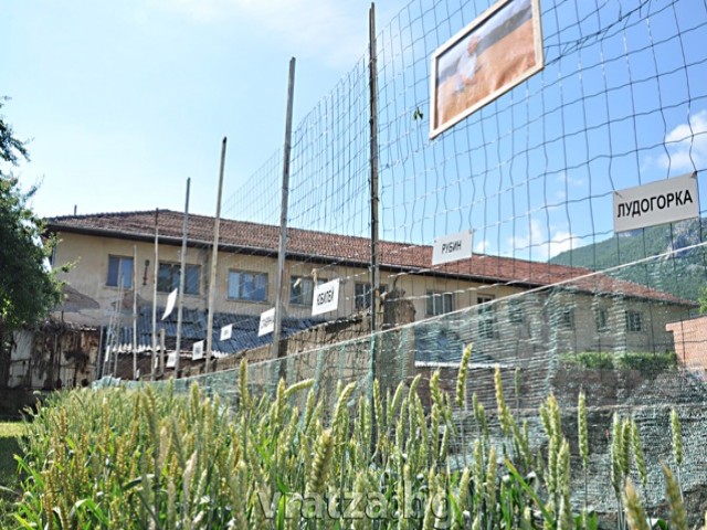 DSC_8101b.jpg